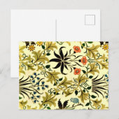 Carte Postale Morris - Celadine (Devant / Derrière)