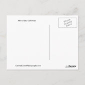 Carte postale Morro Bay, Californie (Dos)