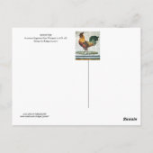 Carte Postale MOSAICS DE ROMAN Antique (Dos)