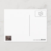 Carte Postale Mosaïque romaine (Dos)
