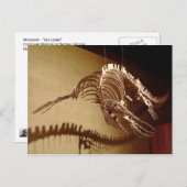 Carte Postale Mosasaur - "Lézard marin" (Devant / Derrière)