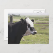 Carte Postale Moseleigh, Alberta, Canada (Devant / Derrière)