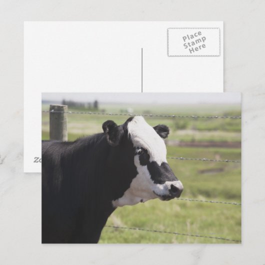 Carte Postale Moseleigh, Alberta, Canada (Devant / Derrière)