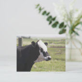 Carte Postale Moseleigh, Alberta, Canada (Debout devant)