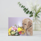 Carte Postale Moses Odeurs Fleurs (Debout devant)