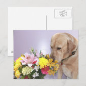 Carte Postale Moses Odeurs Fleurs (Devant / Derrière)