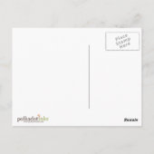 Carte Postale Mosquée blanche de Bourgogne (Dos)