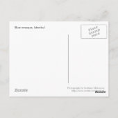 Carte postale Mosquée bleue (Dos)