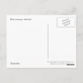 Carte postale Mosquée bleue (Dos)