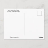 Carte Postale Mosquée Sheikh Zayed Grande Mosquée (Dos)