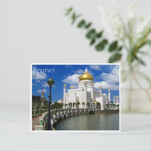 Carte Postale mosquée sultan omar (Debout devant)