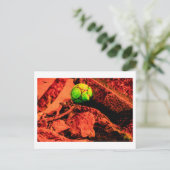 Carte Postale mosquitus (Debout devant)