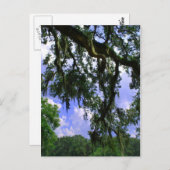 Carte Postale Moss espagnole (Devant / Derrière)