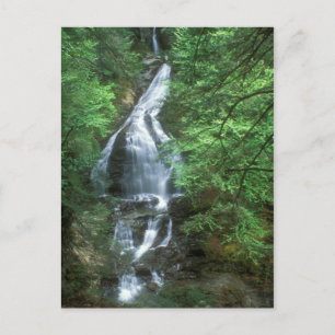 Carte Postale Moss Glen Falls Stowe Vermont