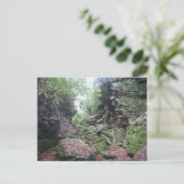 Carte Postale Moss sur Rocks Boulders dans le comté de Mercer WV (Debout devant)