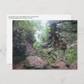 Carte Postale Moss sur Rocks Boulders dans le comté de Mercer WV (Devant / Derrière)