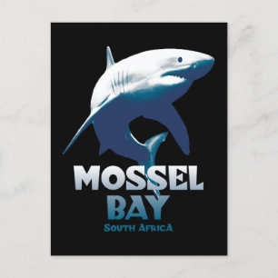 Carte Postale Mossel Bay Grand requin blanc Plongée sous-marine