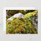 Carte Postale Mosses, Printemps éveil (Devant / Derrière)