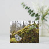 Carte Postale Mosses, Printemps éveil (Debout devant)
