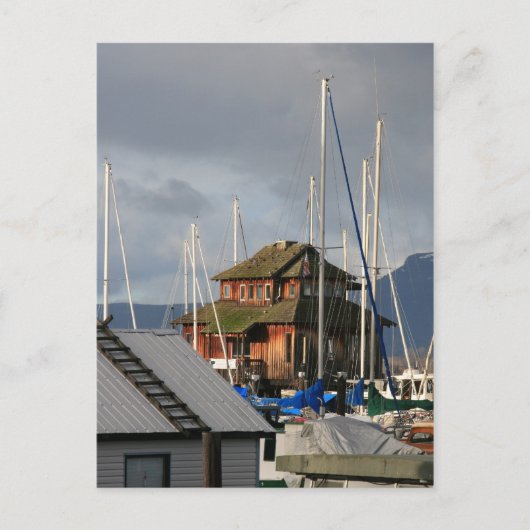 Carte Postale Mossy Habour (Devant)
