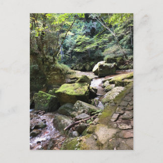 Carte Postale Mossy Mountain Stream in a Japanese Forest Jigsaw