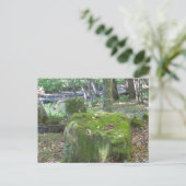 Carte Postale Mossy Rocks sur Bank (Debout devant)