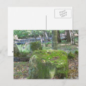 Carte Postale Mossy Rocks sur Bank (Devant / Derrière)