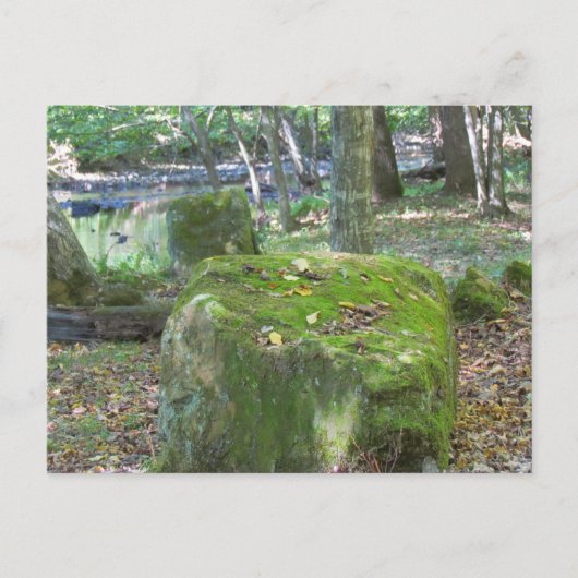 Carte Postale Mossy Rocks sur Bank (Devant)