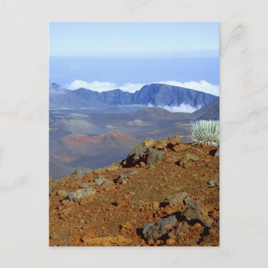 Carte Postale Mot d'argent sur la ceinture de cratère Haleakala (Devant)