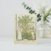 Carte Postale Mot de passe Acq Lat Celery, de 'Tacuinum Sanitati (Debout devant)