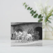 Carte Postale Moteur de tir à cheval, 1922 (Debout devant)