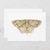 Carte postale Moth (Devant / Derrière)