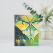 Carte Postale Moth Luna (Debout devant)