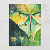 Carte Postale Moth Luna (Devant)