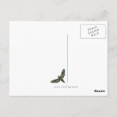 Carte postale Moth Marbrée (Dos)