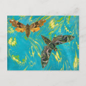 Carte postale Moth Marbrée (Devant)