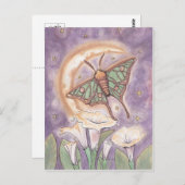 Carte Postale Moth & Moonflowers (Devant / Derrière)