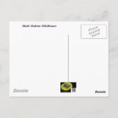 Carte Postale Moth Mullein Fleur sauvage (Dos)