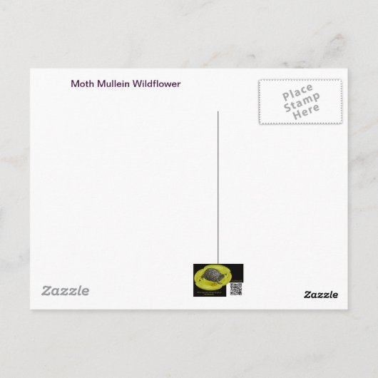 Carte Postale Moth Mullein Fleur sauvage (Dos)