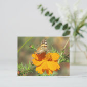 Carte Postale Moth on Yellow Flower (Debout devant)