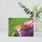 Carte Postale Moth Sur Fleur (Debout devant)