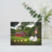 Carte postale Mother Hen (Debout devant)