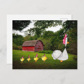 Carte postale Mother Hen (Devant / Derrière)