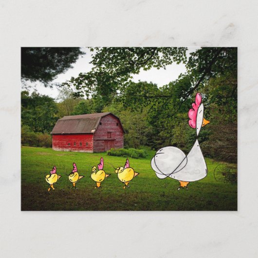 Carte postale Mother Hen (Devant)