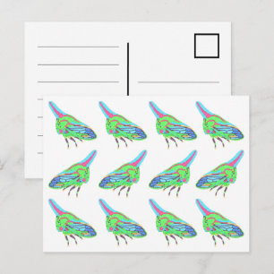 Carte postale (motif blanc) - Sauterelle de chêne