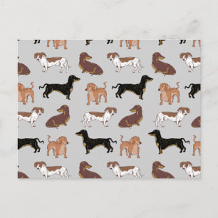 Carte Postale Motif chien Dachshund