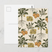 Carte Postale Motif Citron Vintage (Devant / Derrière)