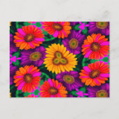 Carte Postale Motif coloré Daisy Bouquet (Devant)