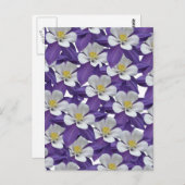 Carte postale Motif Columbine violet et blanc (Devant / Derrière)