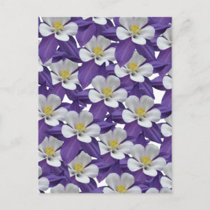 Carte postale Motif Columbine violet et blanc
